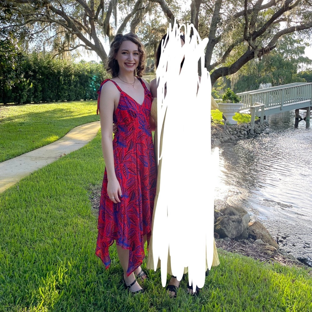 Alexis x Target handkerchief hem Dress